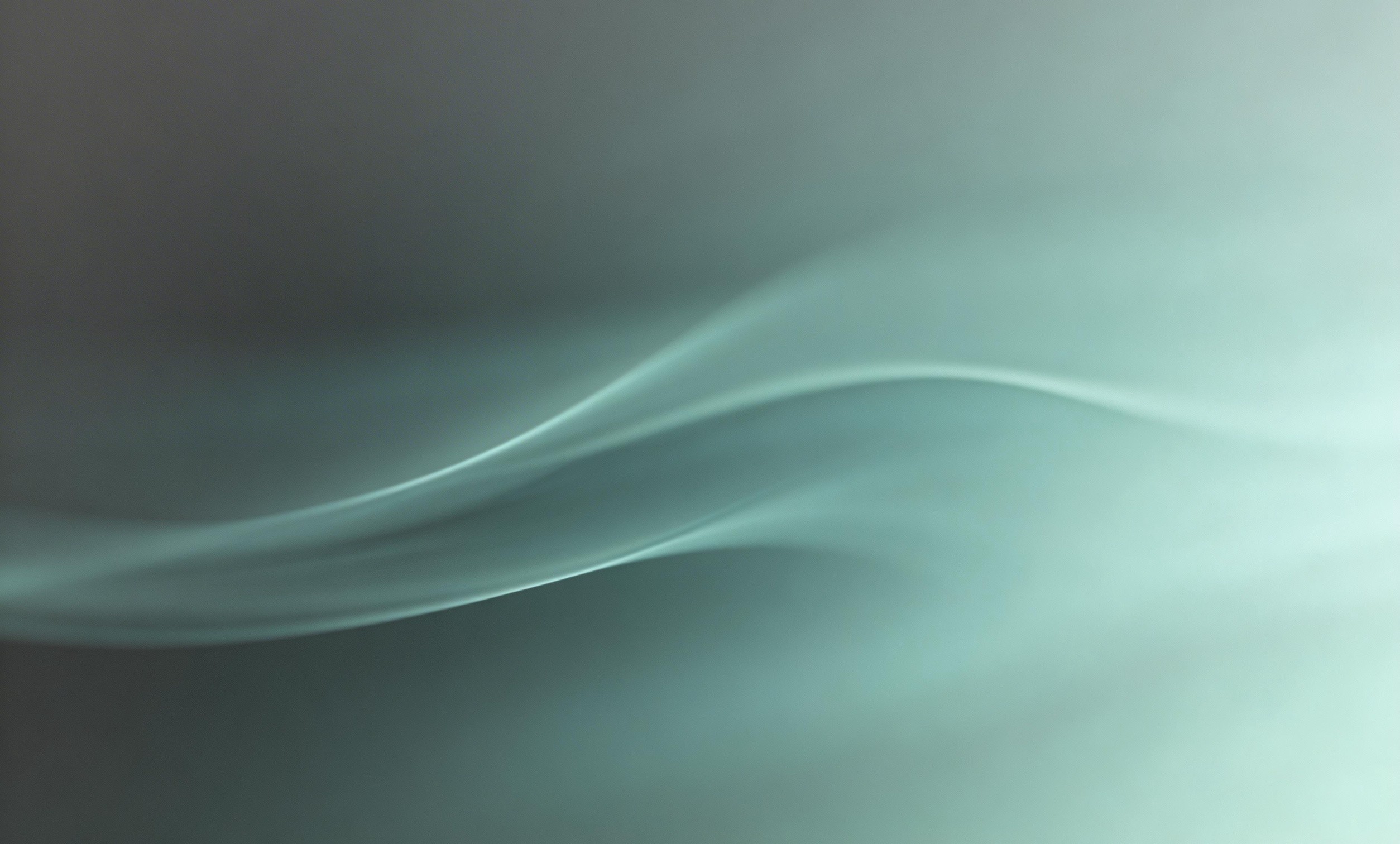 AI翻译公司是否能满足专业领域需求?